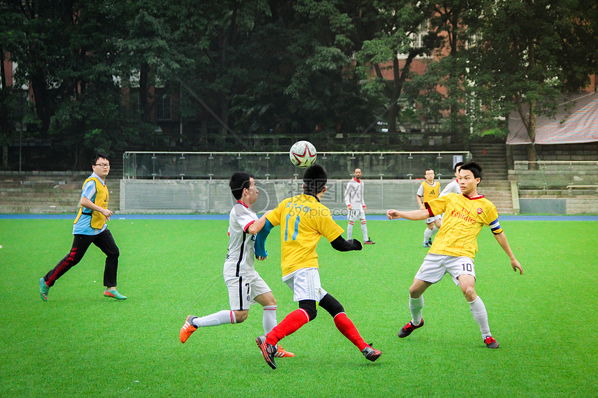 纪律和管理 纪律和管理